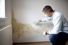 Best Environmental Consulting for Mold Prevention in Fort Campbell North, KY